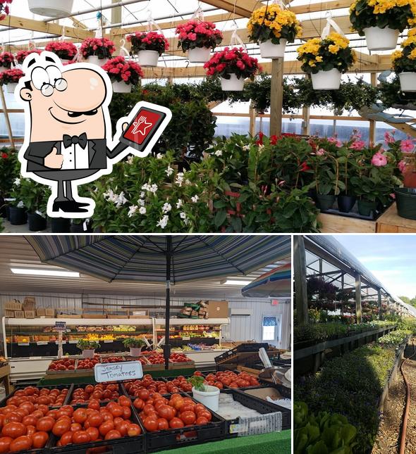 My Three Sons Seafood and Produce in Little Egg Harbor Township