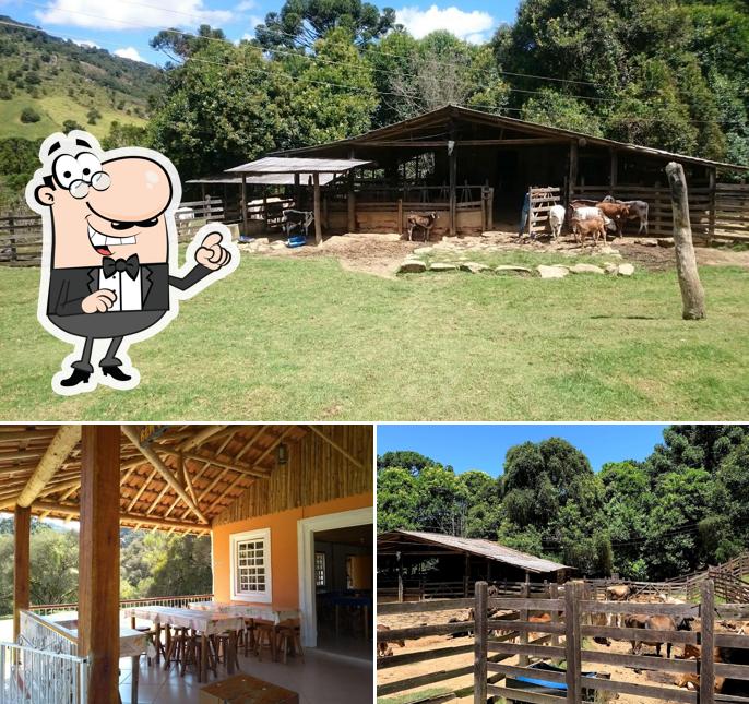 Você pode espairecer no exterior Fazenda Esperança