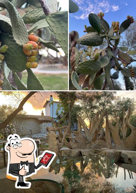 Ecco una foto di Sa Figamoru Ristorante tipico Sardo, Lido di Orri Tortolì