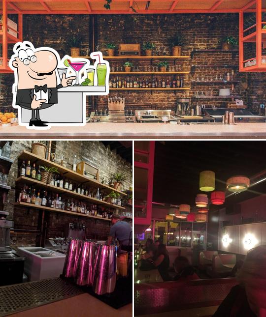 The Pink Squirrel in Chicago Restaurant reviews