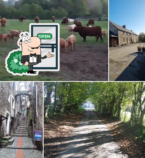 Auberge Maison Neuve: Camping avec emplacement tente/camping-car et Restaurant circuit court, cuisine locale, Ille-et-Vilaine