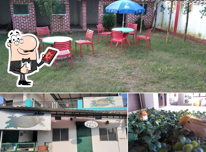 Jungle Bistro Cafe
