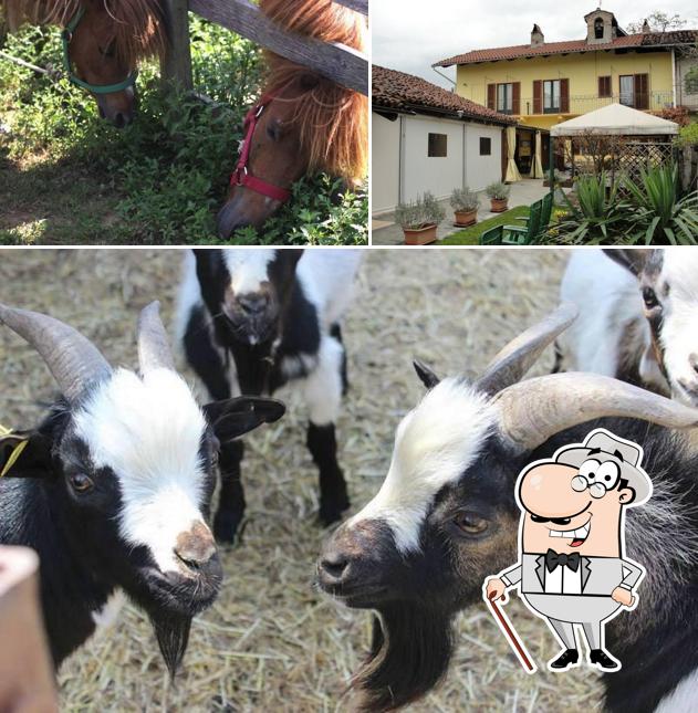 Gli esterni di Agriturismo San Giovanni