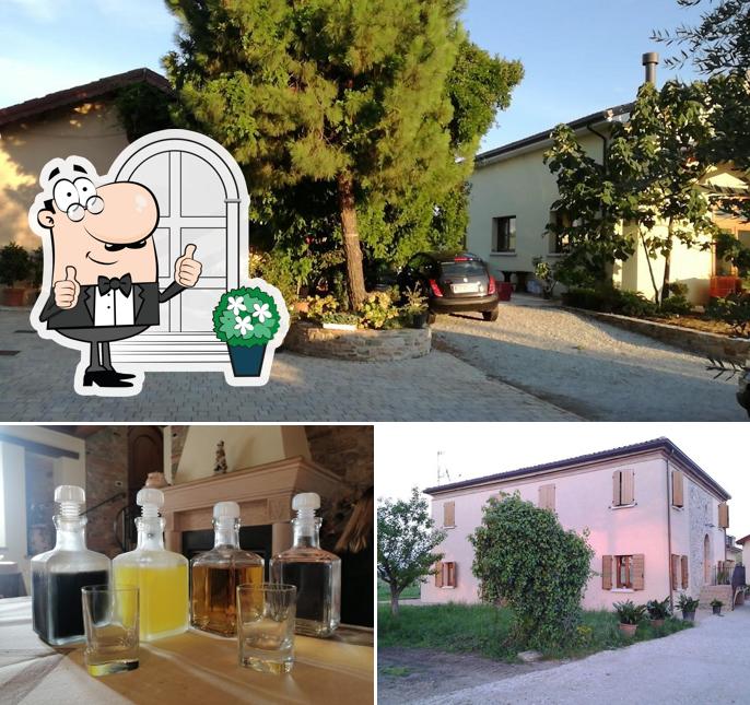 Tra le diverse cose da Agriturismo La vecchia Cantina si possono trovare la esterno e alcol