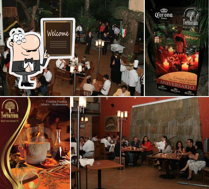 Terrarium Restaurante, Cuernavaca