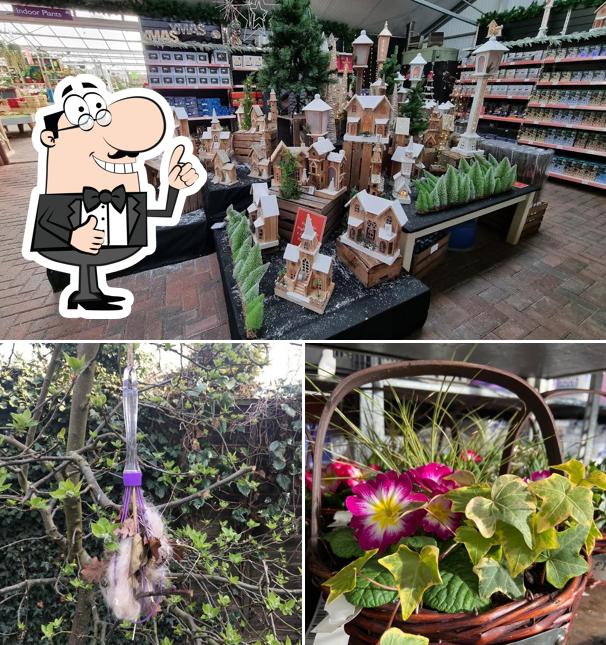 Perrywood Garden Centre, Tiptree in Tiptree Restaurant menu and reviews