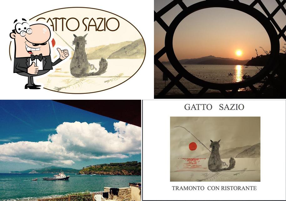 Vedi la immagine di Gatto Sazio - Tramonto Con Ristorante