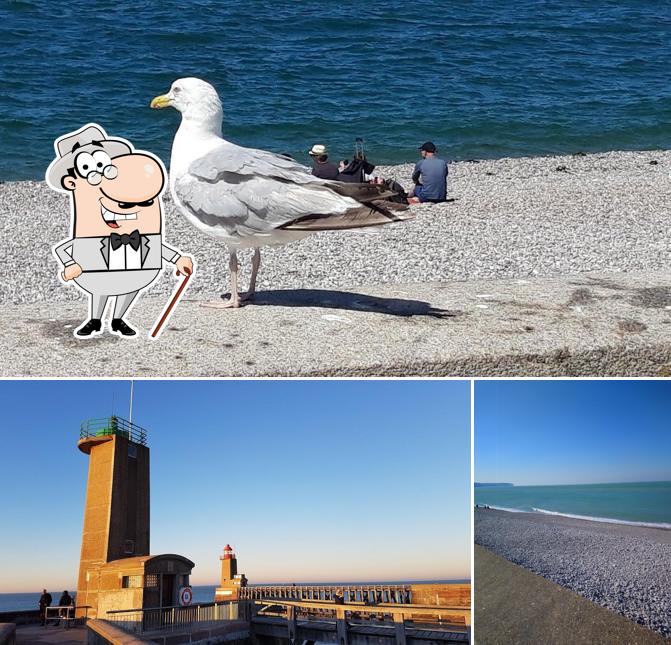 Vous pouvez prendre un bol d'air frais à l'extérieur LA PLAGE