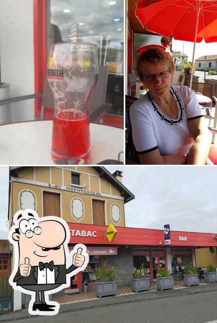 Le Mimosa