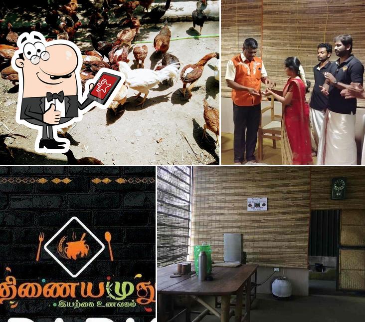 Thinaiyamuthu Millet Restaurant Ramanathapuram, Coimbatore Restaurant