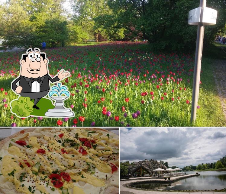 Seestern Britzer Garten, Berlin Speisekarte, Preise und Bewertungen