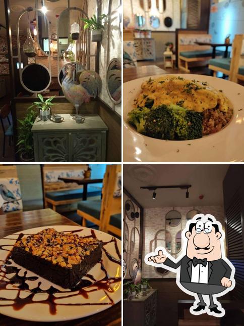 Jimmy's Dhaba