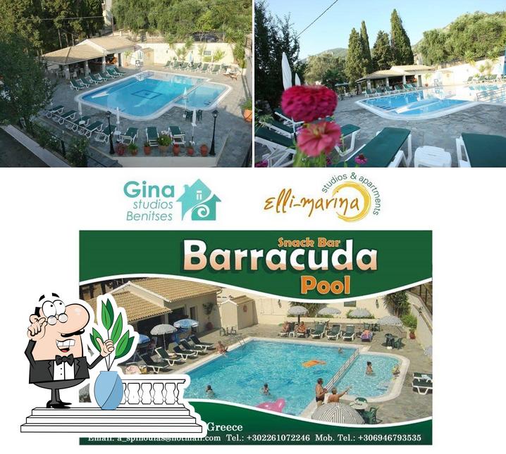 Наслаждайтесь пейзажем, который открывается из "Barracuda Pool Bar Benitses"