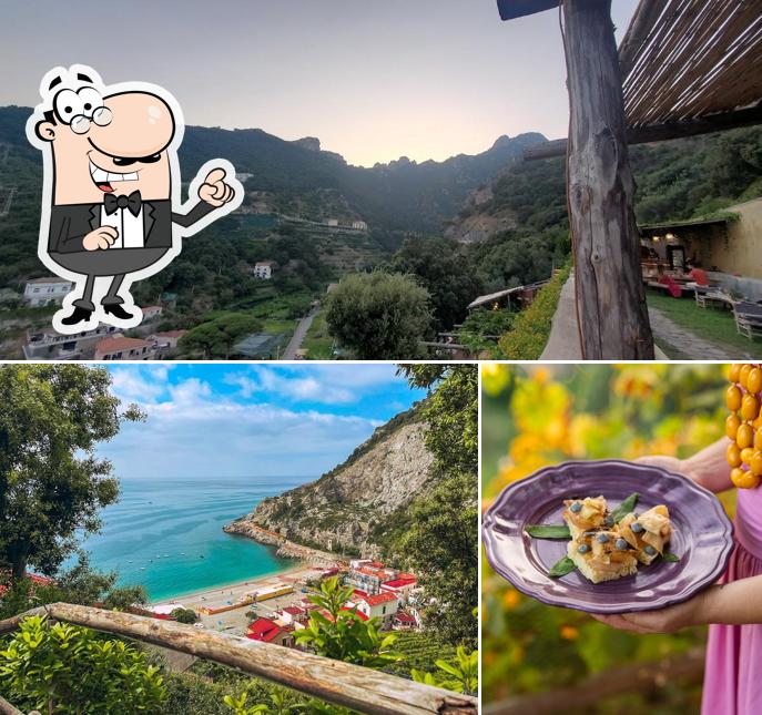 Guarda la foto che presenta la esterno e cibo di CRIA