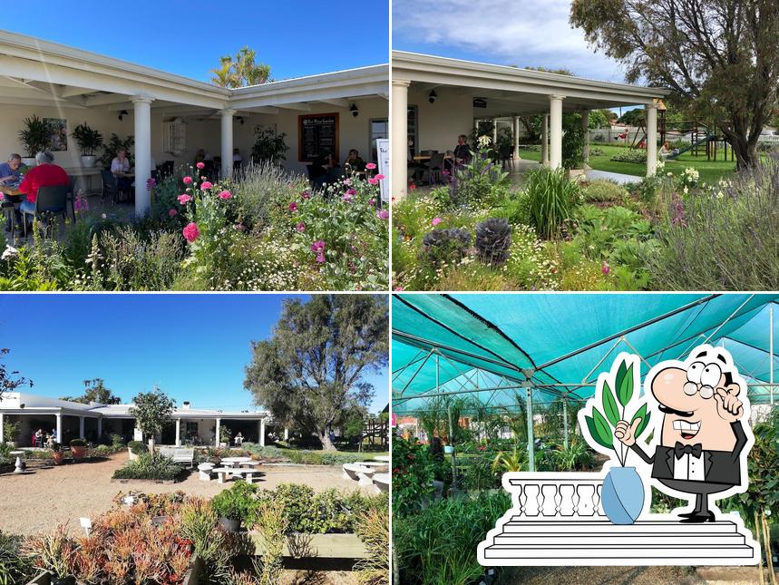 The Rose Garden Tea House cafe, Port Elizabeth, 63 B Circular Dr