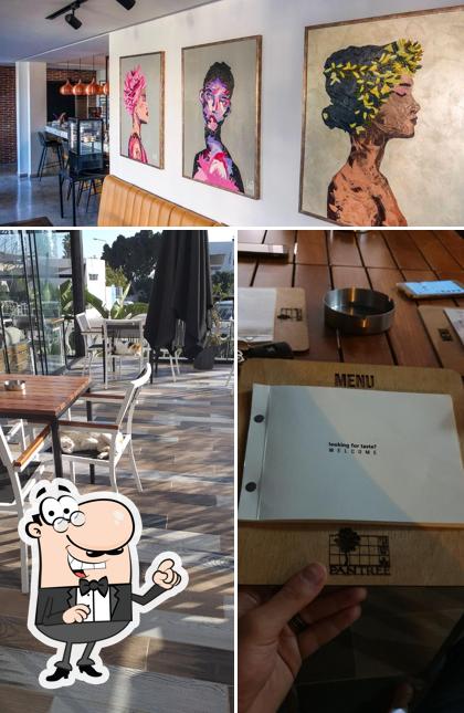 Pantree cafe, Tunis Restaurant reviews