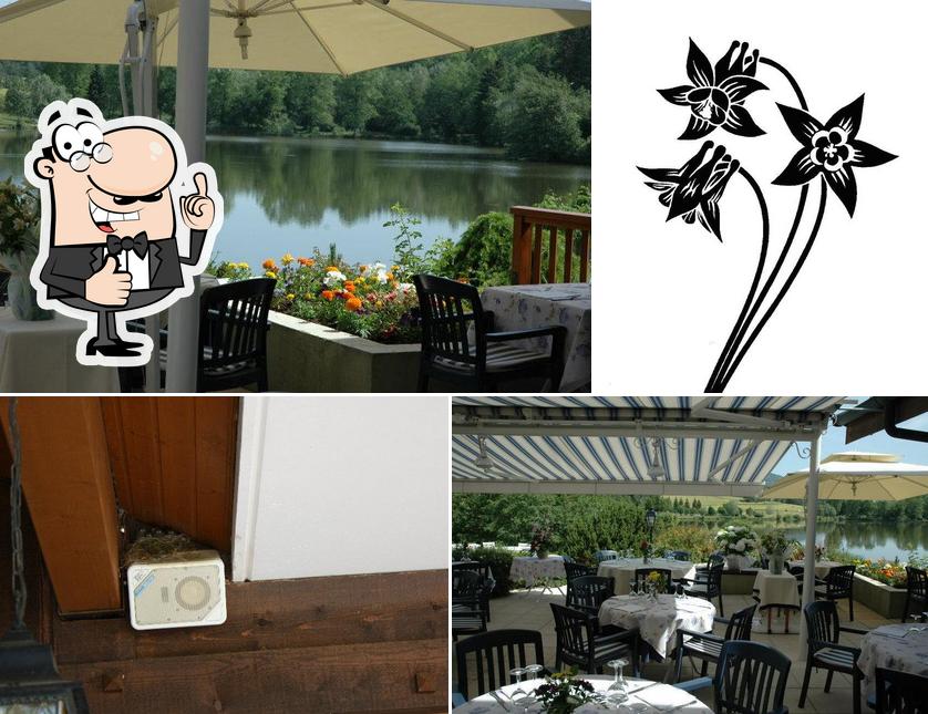 L'Ancolie Chalet du Lac