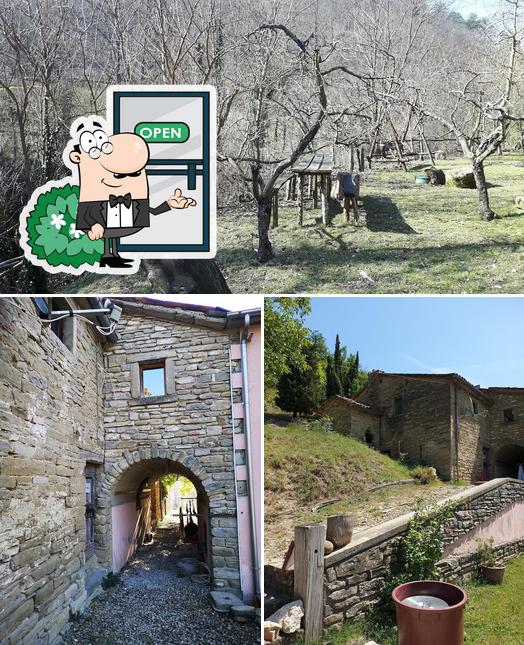 Guarda gli esterni di Agriturismo Pian di Stantino