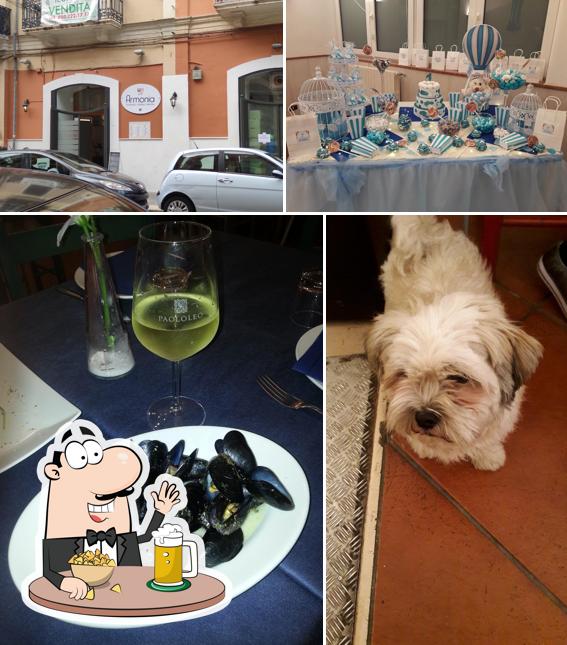 Puoi ordinare un rinfrescante bicchiere di birra chiara o scura