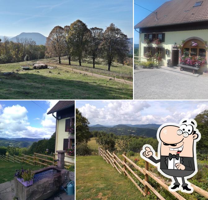 Ferme Auberge du Promont