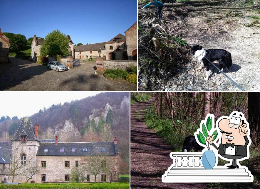 Mountain Network Ardennen