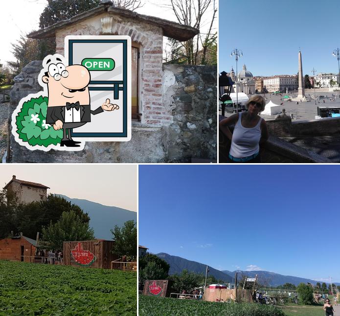 Anguriara al rocolo di Giavenale