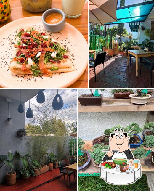 Templo Bonsai Café Providencia, Guadalajara Carta del restaurante y