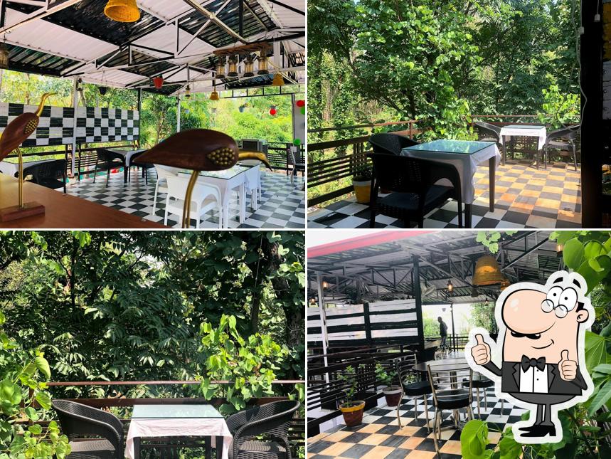 Jungle de cafe