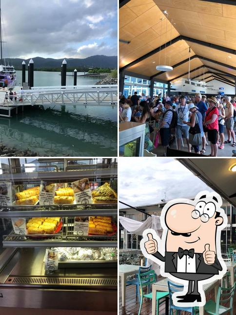 cruise cafe and bar airlie beach reviews