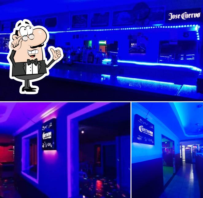 O Felinas Club Prive se destaca pelo interior e exterior