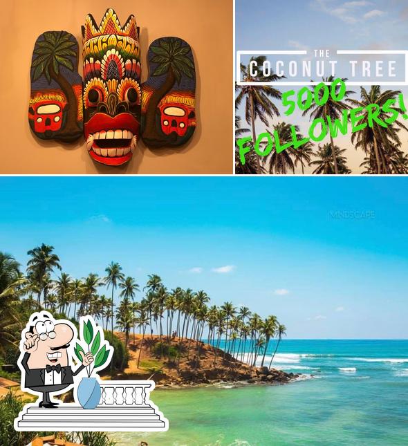 The Coconut Tree Cardiff in Cardiff Restaurant menu and reviews
