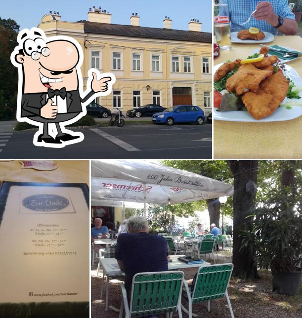 Gasthaus "Zur Linde" Korneuburg restaurant, Korneuburg