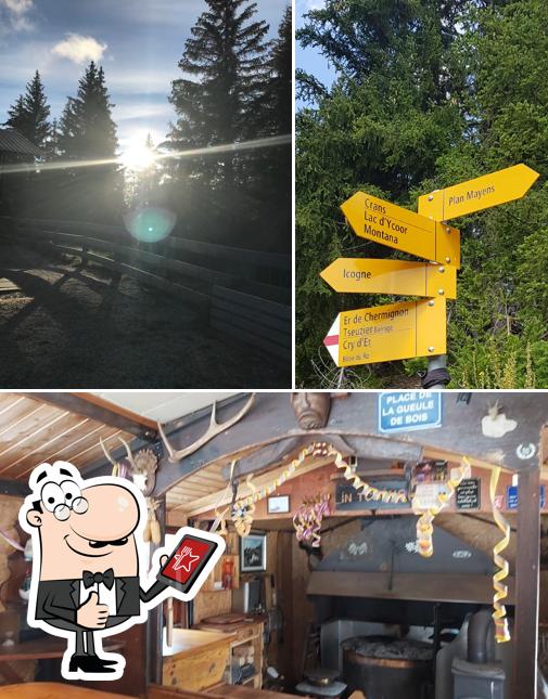 Ecco un'immagine di Clébard Palace