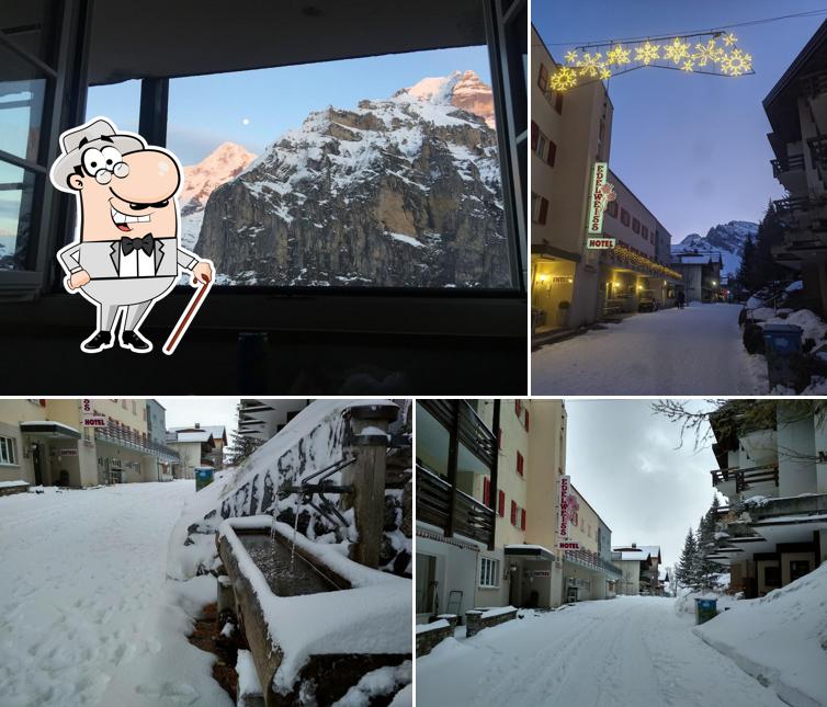 Goditi la vista dagli esterni di Hotel Alpina