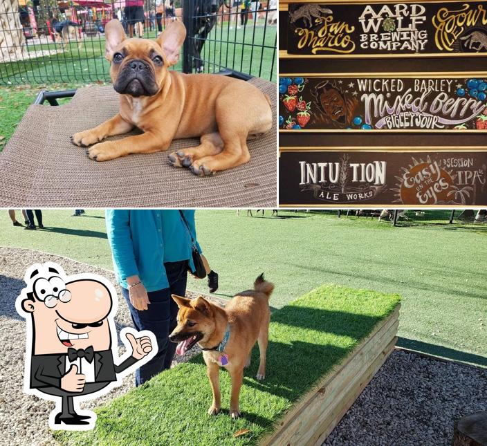 BrewHound Dog Park + Bar in Neptune Beach Restaurant menu and reviews