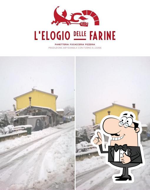 Vedi la foto di L'elogio delle farine