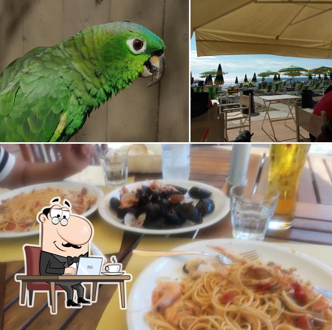 Dai un'occhiata agli interni di Bagno Italia