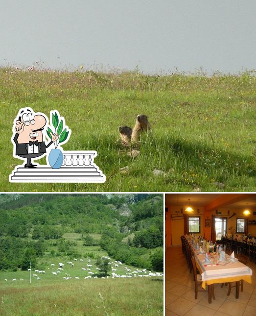 La foto della esterno e tavolo da pranzo di Campeggio il Sole