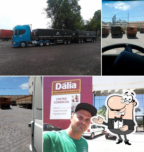 Coop Suinocultores. Dalia