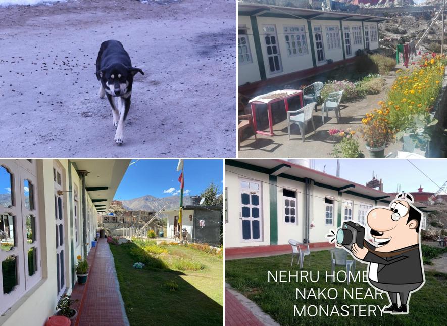 Nehru Home Stay