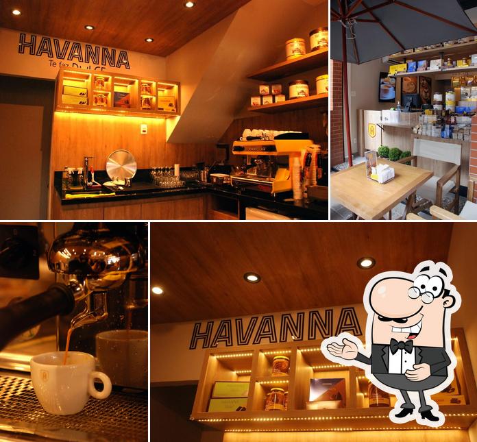 Look at this picture of Havanna JF