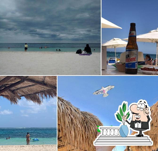 Day & Night Beach Club, Puerto Morelos - Restaurant reviews