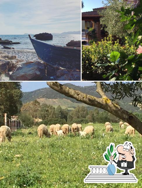 Questa è la foto che mostra la esterno e cibo di agriturismo sa tiria