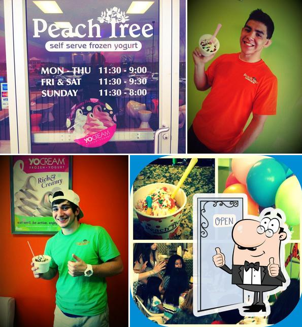 Peach Tree Frozen Yogurt in Branson