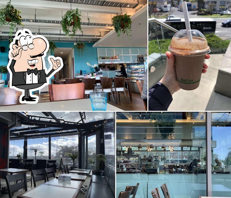Constellation Cafe in Auckland Restaurant reviews