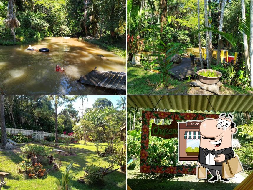 Chácara tia Maria-santarém PA comunidade VILA NOVA Eixo forte