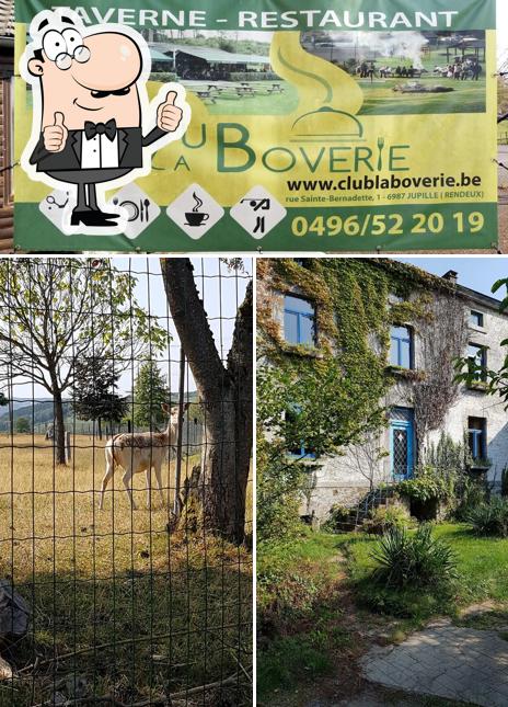 Voici une photo de Taverne restaurant Club la Boverie