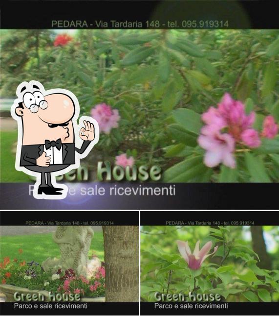 Vedi questa immagine di Green House