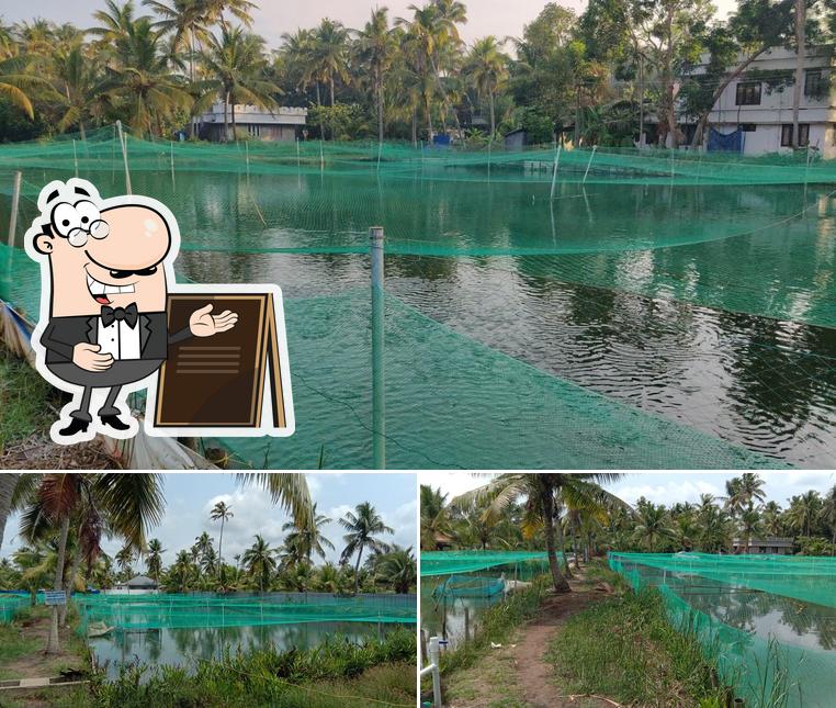 PUTHENTHARAYIL FISH FARM