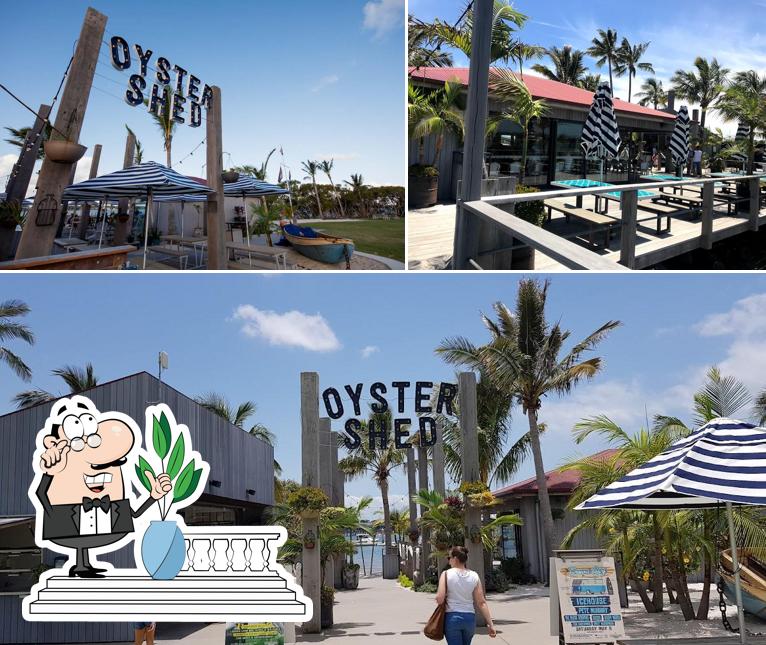 Oyster Shed Beach Club in Sandstone Point Restaurant reviews
